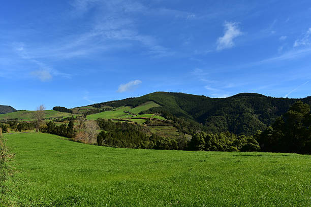istock Scenic Grass Pasture and Fields on Sao Miguel 2220142889