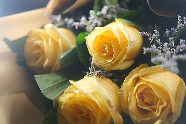 bouquet of yellow roses in sunlight - springtime, mother's day and holiday styled concept