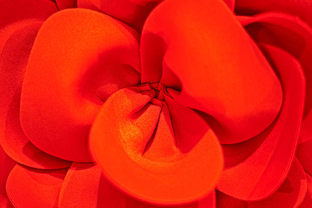 background of red blossoming flower