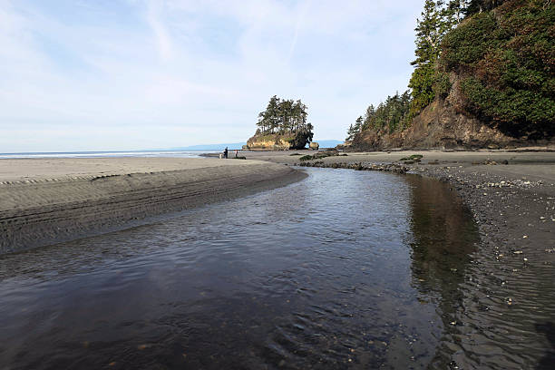 istock Salt Creek Park, WA state 2220150245