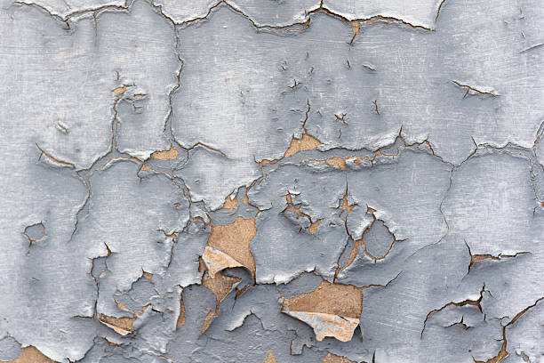 istock A background depicting a surface with old, peeling gray paint. The weathered texture, visible cracks, and flakes create a distressed and raw look. Perfect as a texture for graphic and industrial design. 2220157634