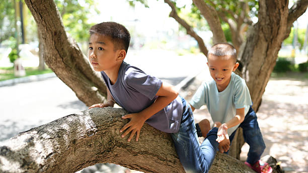 A boys playing on tree branch, enjoying sunny day outdoors. their expressions show curiosity and joy as they explore their surroundings in natural setting