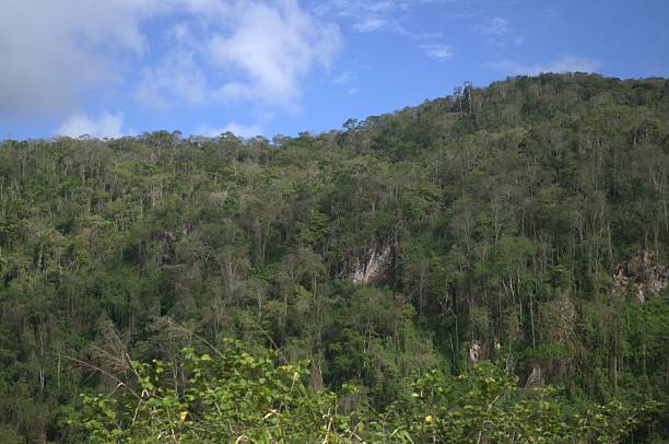 istock The landscape in the State of Sucre. 2220173764