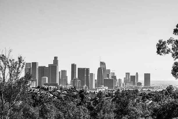 istock Minimalist Black and White Los Angeles Skyline Framed by Trees 2220178171
