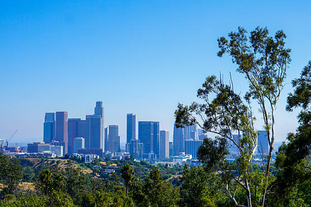 istock Expansive Los Angeles Downtown Skyline from Elevated View on Clear Day 2220178587