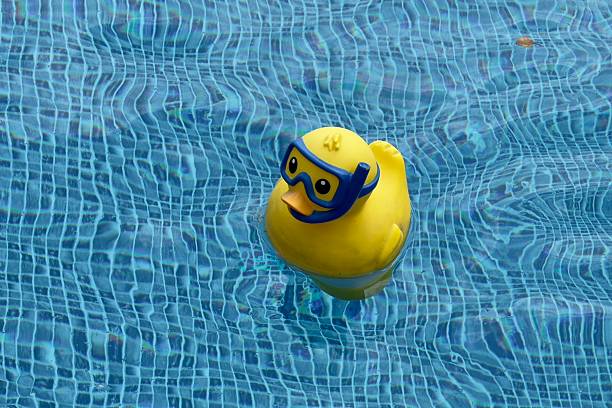 istock rubber inflatable toy floating in blue pool, clear water 2220184729