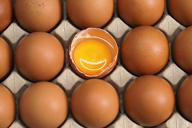 istock Eggs are the best protein and are inexpensive and readily available 2220186711