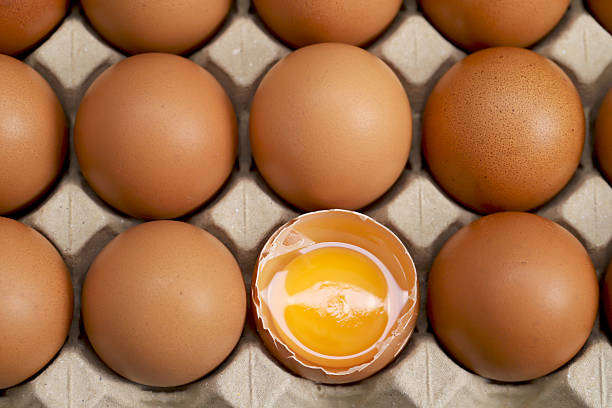 istock Eggs are the best protein and are inexpensive and readily available 2220186778