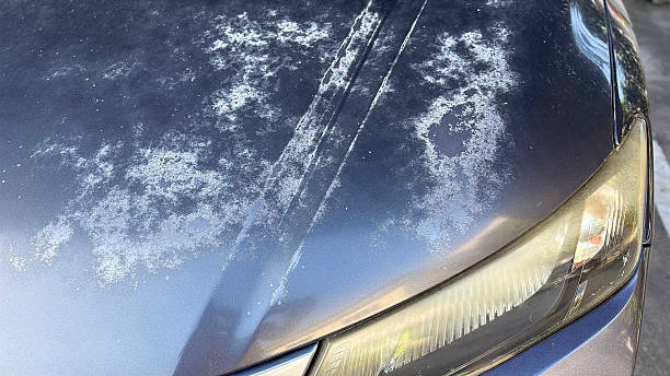 istock Car paint deterioration caused by parking in the sun for a long time. 2220190093
