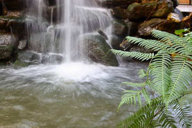 Water cascades down the stream and over the rocks.