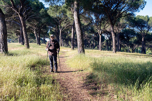 istock Man Hiking a Trail in a Scenic Pine Forest under Clear Skies 2220191177