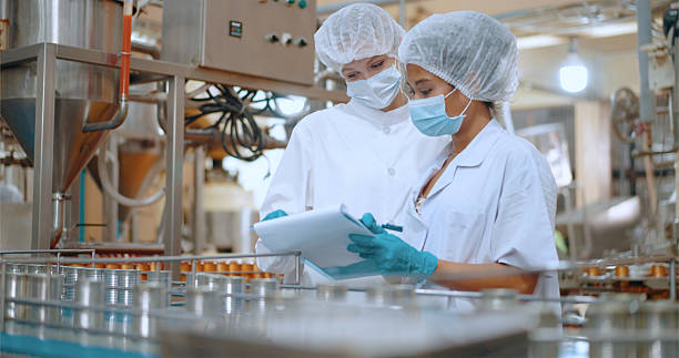 Team reviewing production efficiency on food processing plant.