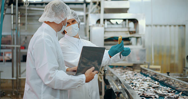 istock Quality control inspection in seafood processing factory. 2220195058