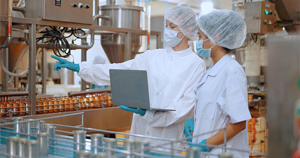 istock Team reviewing production efficiency on food processing plant. 2220195099