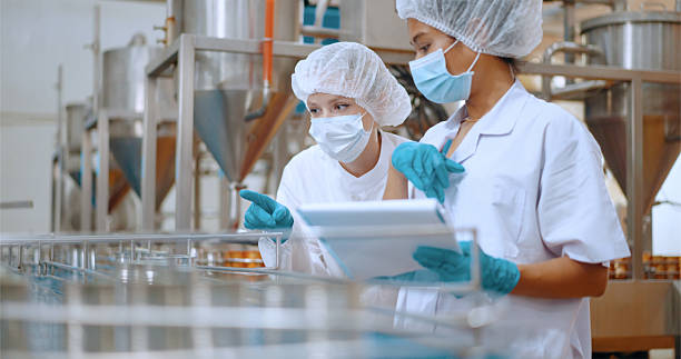 istock Team reviewing production efficiency on food processing plant. 2220195606