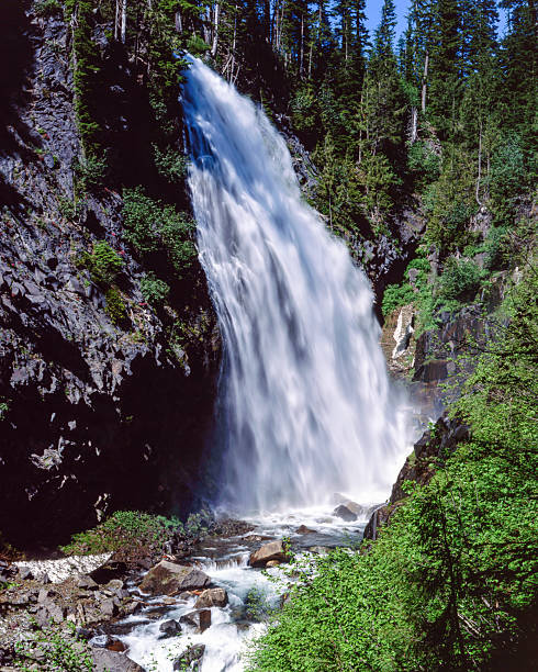 istock Narada Falls, Mount Rainier National Park, Washington 2220201713