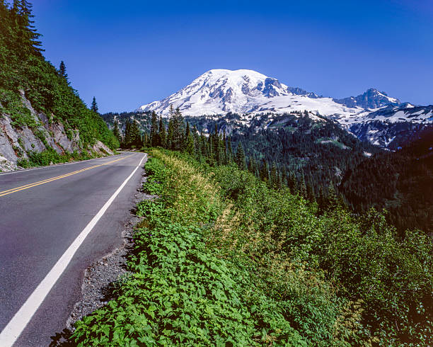 istock Road to Mount Rainier, Mount Rainier National Park, Washington 2220201774