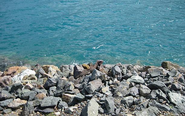 Tropical Seascape with Idillyc Ocean View and iguana