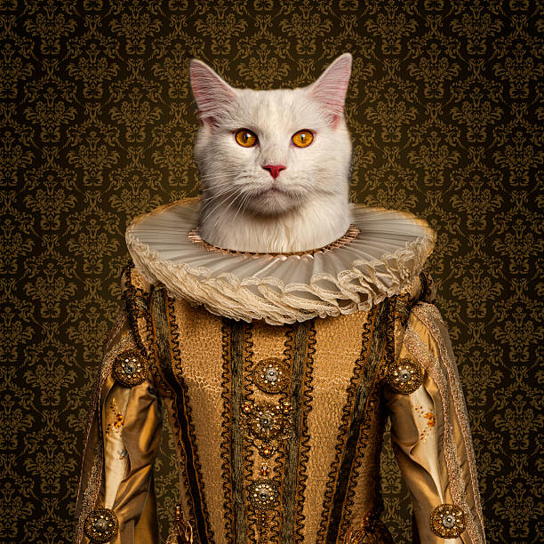 White cat wearing elizabethan era clothing posing for a portrait