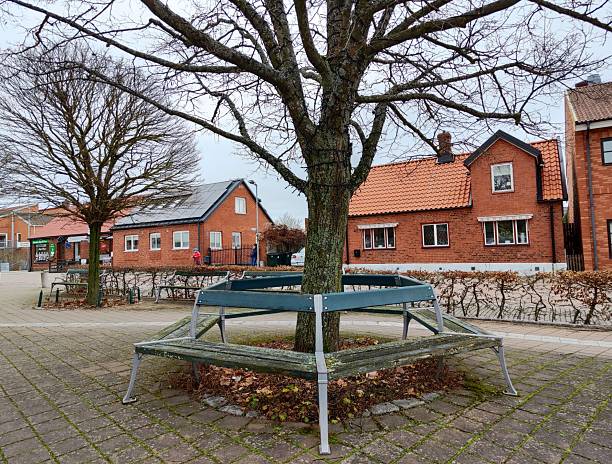 Svedala, Sweden - 02.01.2025: A large, leafless tree stands at the center of a town square, encircled by wooden benches arranged in a hexagonal pattern. Surrounding the square are traditional brick buildings with tiled roofs, some featuring storefronts with signs. The ground is paved with stone tiles, and a few shrubs grow nearby. A single person is visible walking in the distance near one of the buildings