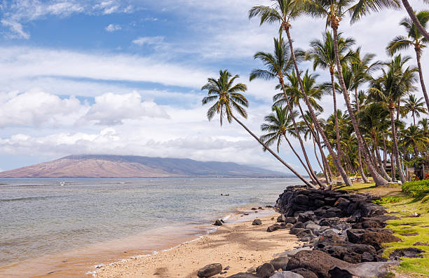 istock Beautiful Maui landscape in Hawaii 2220221636