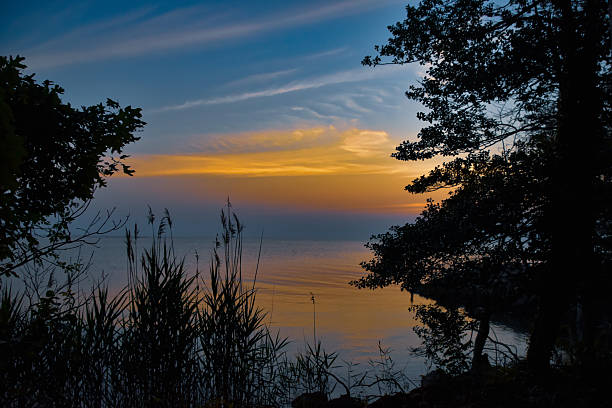 istock View of Chesapeake Bay through trees, at dawn 2220224086