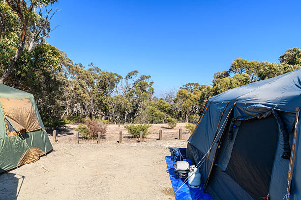 istock Camping site with tents on a day 2220225783