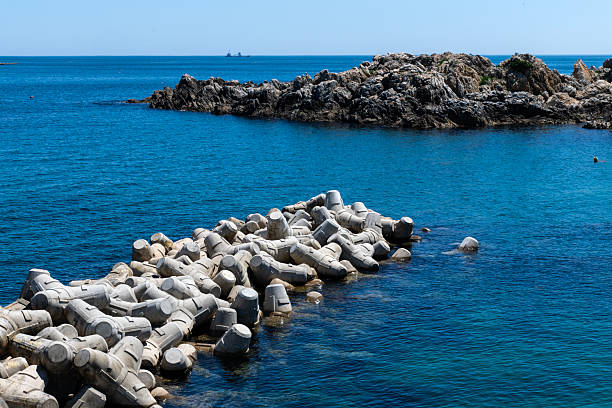 istock tetrapods and rock at the seaside 2220226442