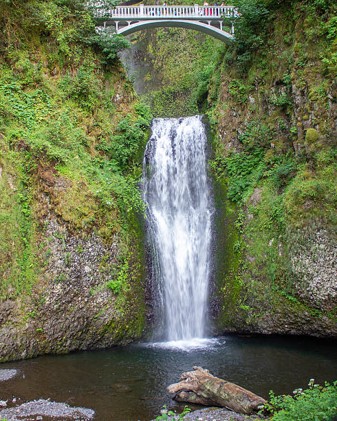 istock Majestic Multnomah waterfall cascading down rocky cliff with bridge above in lush green landscape 2220227343