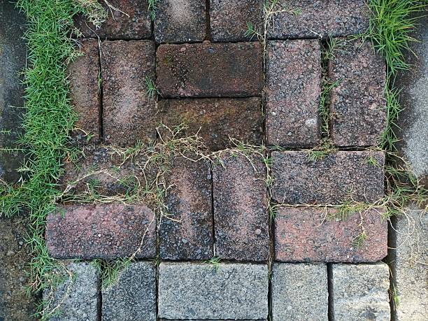 istock Overgrown Paving Stones with Grass and Weeds 2220231500