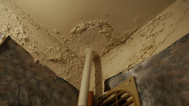 istock The ceiling in the apartment has a leak and peeling paint. 2220240813
