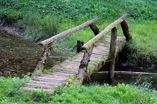 istock Rustic wooden footbridge over stream in green clearing 2220242239