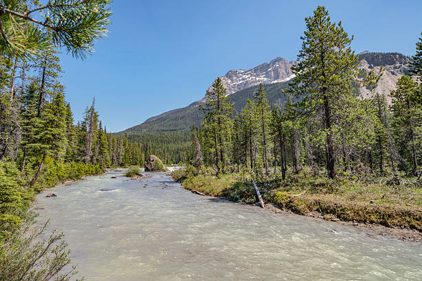 istock Kicking Horse River in Yoho National Park 2220242257