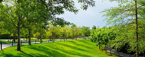 istock in a public park in summer - panorama 2220247268