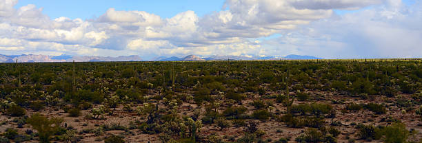 istock Panorama Landscape Sonoran Desert Arizona 2220247772
