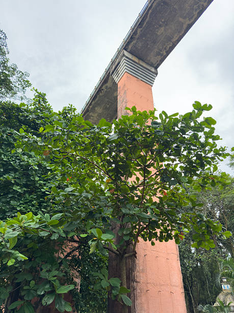 istock The bridge of the Mathur Aqueduct which is an elevated concrete aqueduct located in Kanniyakumari district, Tamil Nadu. 2220258429