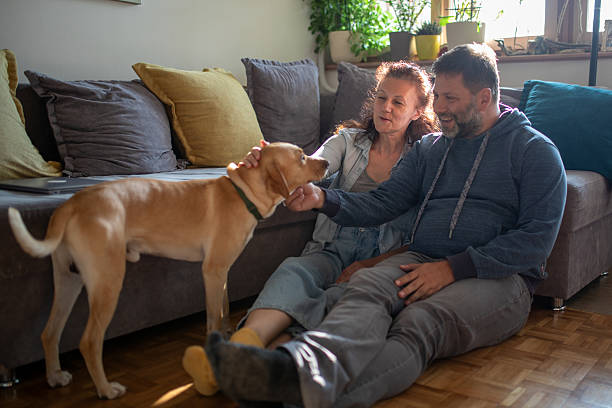istock Husband, wife and their dog 2220259107