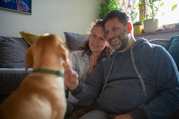 istock Husband, wife and their dog 2220259121