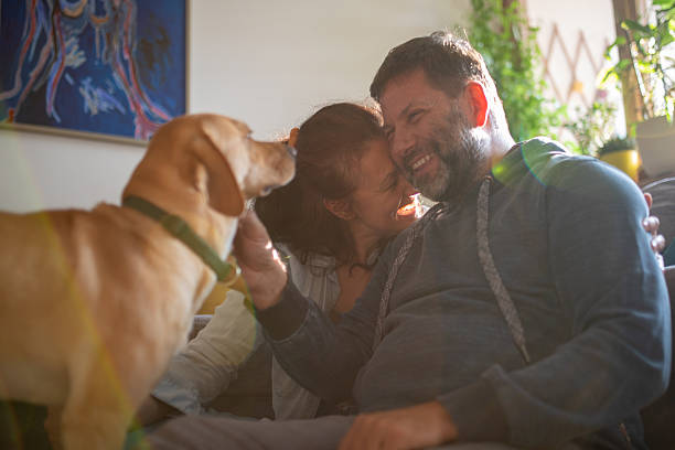 istock Husband, wife and their dog 2220259123