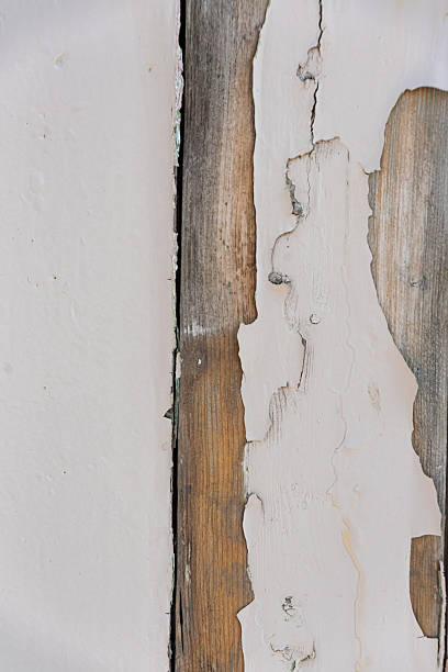 Photo of wood texture pattern