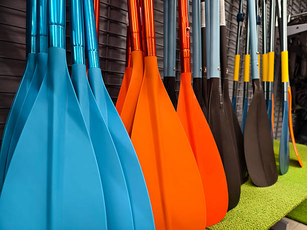 istock A collection of oars is lined up neatly in a row for use 2220260830