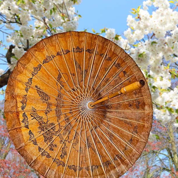 Chinese style umbrella in sunlight