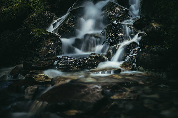 istock Cascading Streams of Water in Shaded Forest with Moss-Covered Rocks 2220262684