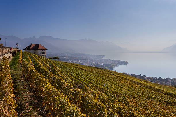 istock The Lavaux vineyards facing Lake Geneva 2220263018