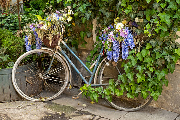 istock Abandoned bicycle overgrown with vines and decorated with flowers 2220264709