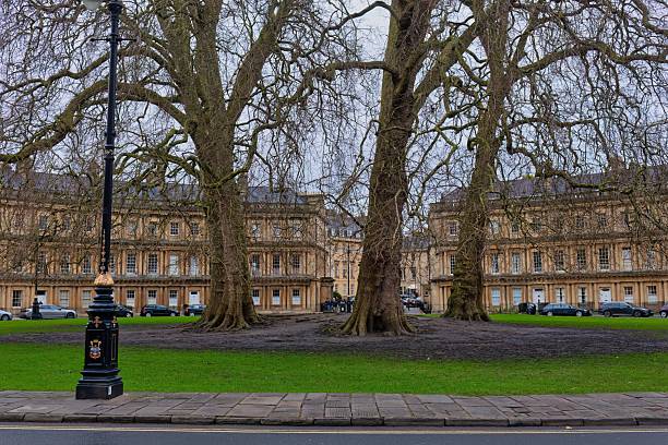 istock A park landscape with large trees in front of a classical building. 2220266915