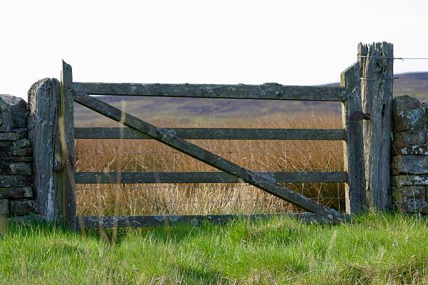 istock Wooden countryside gate to fields 2220273940