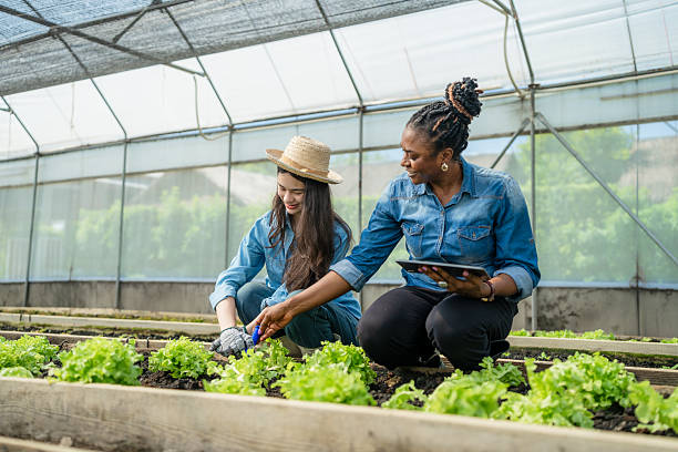 istock Female Agronomist with a Tablet Teaching a Young Farmer about Modern Planting Techniques. 2220276298