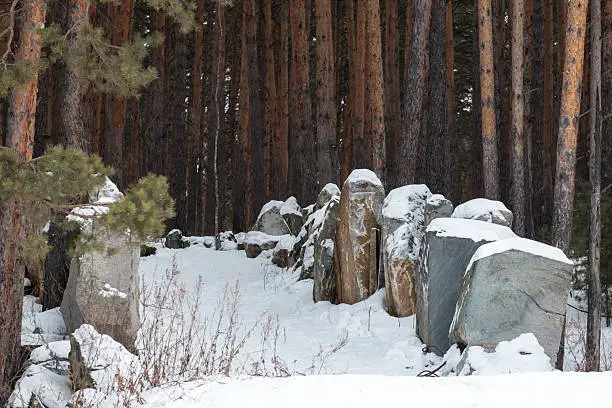 Photo of A snowy forest with a path leading through it