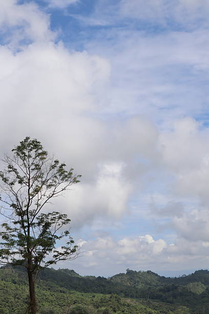 A dramatic sky above the house